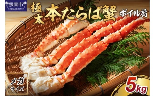 【年内配送】【2肩約5kgの超極太10L以上メガサイズ】本たらば蟹 ボイル肩 約5kg 折れなし選別【087A-008】