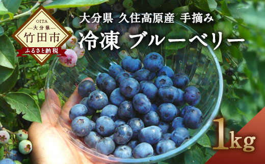 【2ヶ月毎4回 定期便】大分県久住高原産 『手摘みブルーベリー』 冷凍ブルーベリー 1kg 計4kg