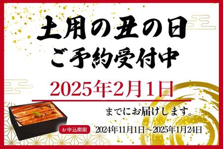 大型サイズ　ふっくら柔らか　国産うなぎ蒲焼き　2尾　化粧箱入【土用の丑の日のうなぎ】【～7月24日までにお届け】【UT05】