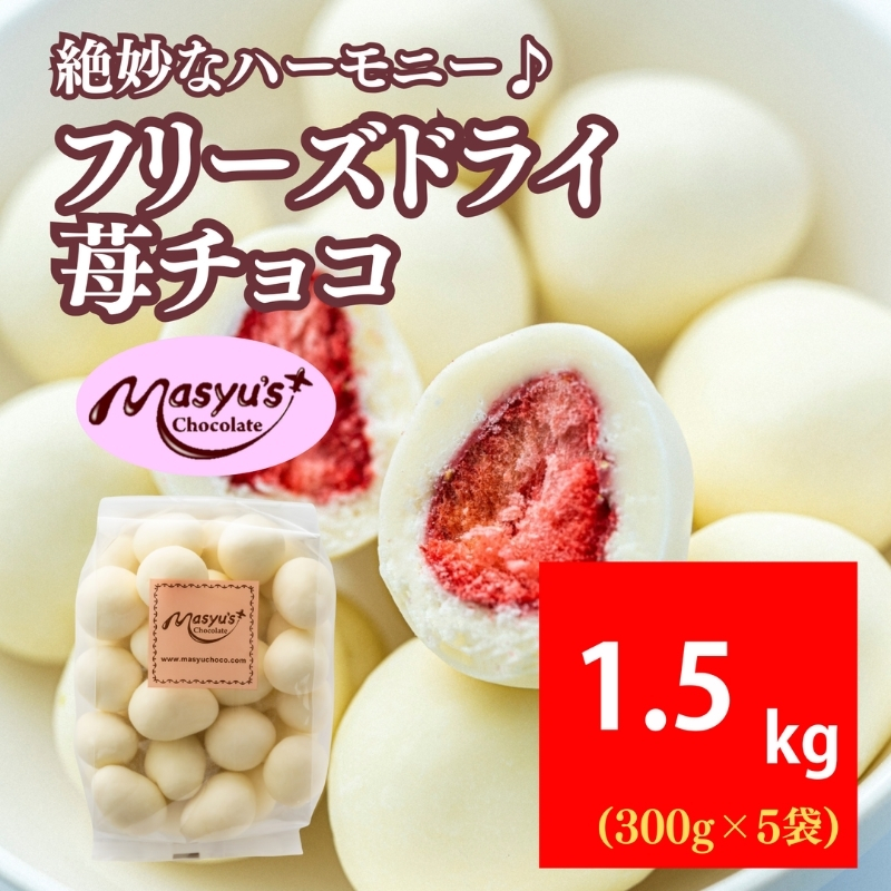フリーズドライ苺チョコ 1500g 300g×5袋 11月～3月発送 チョコレート