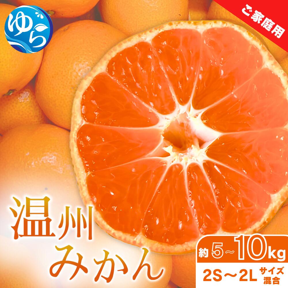 【ふるさと納税】家庭用 温州みかん 【選べる容量】 約5kg 約7.5kg 約10kg 【先行予約】※2025年11月中旬頃～2025年12月中旬頃に順次発送 農家直送 / くだもの 果実 柑橘 果物 フルーツ 国産 和歌山県 由良町 ご家庭用 人気 おすすめ