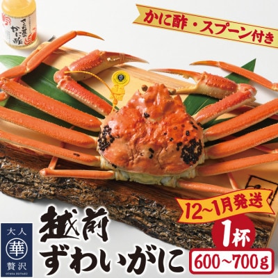 【12～1月発送】浜茹で越前ずわい約600～700g　1杯　かに酢＆かにスプーン付き【配送不可地域：離島】【1508751】