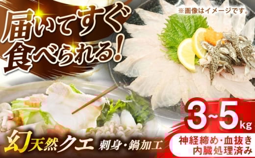 壱岐産　幻天然クエ　刺身・鍋加工　3kg～5kg《壱岐市》 【みやげ処 縁由】 [JBJ016]