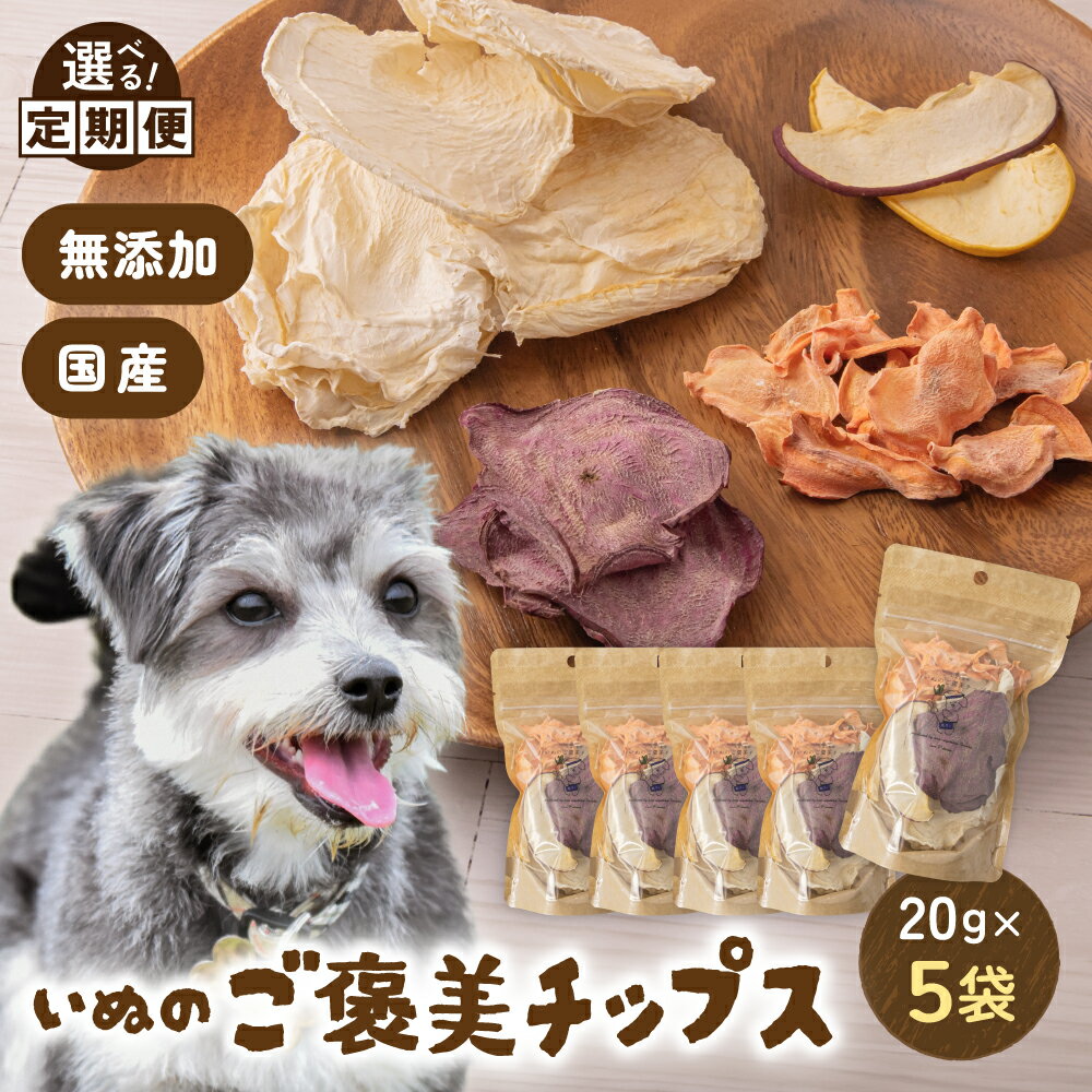 【ふるさと納税】〈選べる回数〉いぬのご褒美チップス20g×5袋 ペットフード 犬 無添加 おやつ 美味しい ご褒美 ドッグフード ドライ いぬ 犬用 いぬ用 愛犬用 R030-018