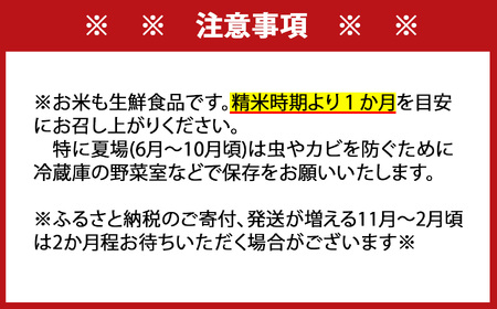 [令和5年産]特A評価！『さがびより白米10kg』OB0002