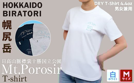 【日本百名山】幌尻岳記念Tシャツ 選べるサイズ S M L XL 選べる色 紺 白（白 Mサイズ） 【 ふるさと納税 人気おすすめ ランキング Tシャツ シャツ 幌尻岳 山 記念Tシャツ 記念 日本百名山 お土産 ギフト 北海道 平取町 送料無料 】 BRTJ025