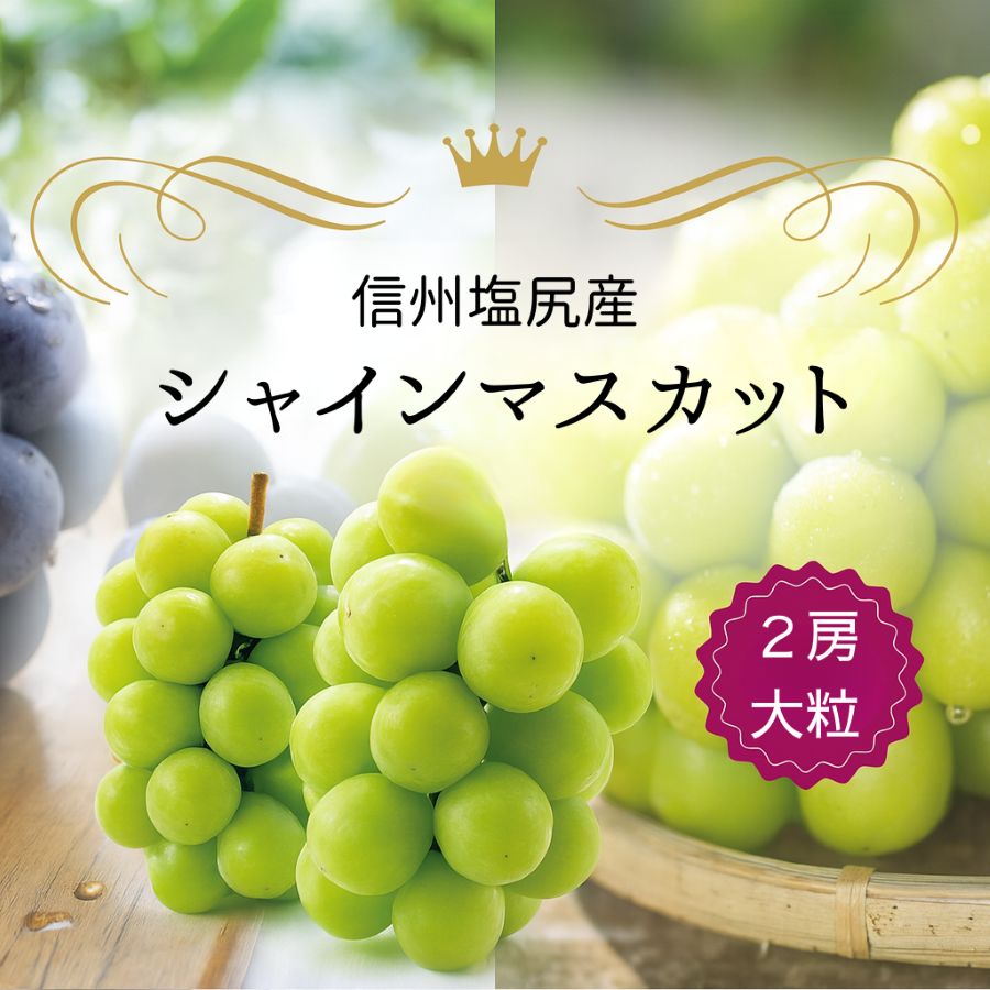 【ふるさと納税】【2026年先行予約！】シャインマスカット 2房 (約1.3kg）（2026年9月下旬より発送予定） | シャイン ぶどう 葡萄 ブドウ くだもの 果物 フルーツ マスカット しゃいん ますかっと 先行 先行予約 長野県 塩尻市