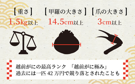 【先行予約】≪茹で≫特上 越前ズワイ蟹 『極』 1杯 ※活状態で1.5kg以上 【2025年2月発送分 各月数量限定】【越前ガニ 越前がに 越前ズワイガニ ズワイガニ ずわい ボイルガニ 幻のかに 冬