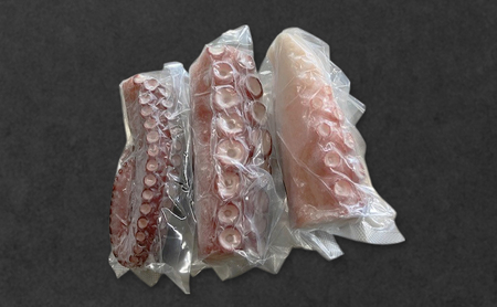 タコ足 浜茹でボイル 枝幸産 刺身 タコ足【2本 約1kg】
