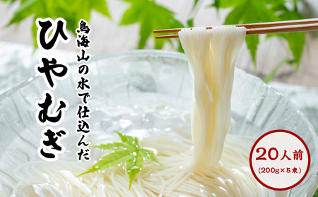 うどん・ひやむぎセット 乾麺 象潟うどん 冷麦 【各5束 計10束 20人前】