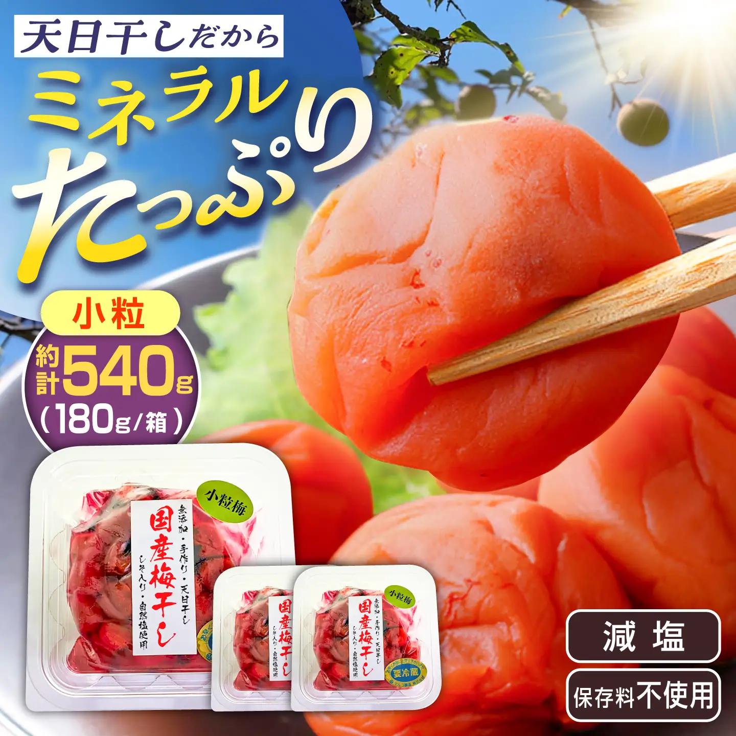 国産 小粒梅干し 計540g 180g×3袋 (天日干し・減塩・保存料不使用) / 国産 梅干し 小粒 / 恵那市 / マルコ醸造[AUCT027]