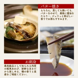 年内発送 あわび 6個 約650g 冷蔵 鮑 蝦夷あわび 活あわび  あわび アワビ 鮑 Abalone ステーキ  バターソテー 正月 お正月 おせち 刺し身 刺身 バーベキュー BBQ ごはん 夕