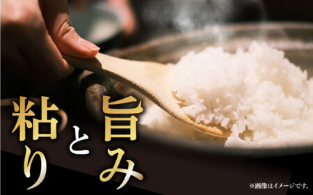 【令和7年度産新米】おぢかんうまか米（小値賀町産こしひかり 5kg ・精白米） [DAB014] コシヒカリ こしひかり 米 お米 白米 ご飯 精米 お弁当  常温