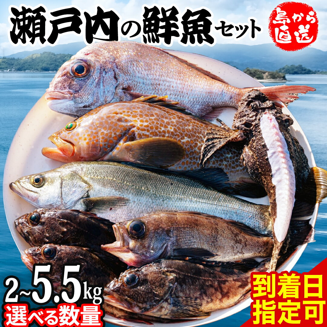 【ふるさと納税】 瀬戸内海産 鮮魚 セット 【 配送日指定可 ・ 配達地域限定 】 神経締め 血抜き済 内臓・うろこ未処理【 選べる内容量 】 産地直送 おまかせ 詰め合わせ 神経締め 血抜き 冷蔵 お刺身 刺身 煮魚 天ぷら 鮮魚 魚 広島県 大崎上島町 詰合せ