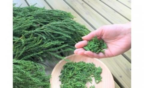 【小国町森林組合】阿蘇小国杉 小国杉 アロマ エッセンシャルオイル SDGs 天然精油 100ml 業務用 柑橘系 爽やか 精油 ルームフレグランス リラックス効果 Made in Aso-Oguni