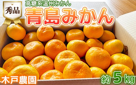 
                  高糖系温州みかん 木戸農園の青島 約5kg （秀品） 先行予約 柑橘類 フルーツ 1月 2月 ＜113-019＞
                