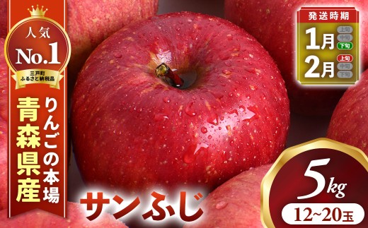 りんご【サンふじ】約5kg （12～20玉）【2026年産・先行予約】★2027年1月下旬〜2月頃発送予定★ 青森県三戸町産 りんご サンふじ 2026年産 サンふじりんご 旬 甘い 青森県三戸町 A