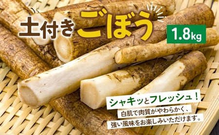 数量限定 根菜3種セット 計8.6kg 土付き 長芋 5kg 土付き ごぼう 1.8kg じゃがいも 1.8kg 先行予約 2026年11月下旬～12月下旬までのお届け 野菜 詰め合わせ 根菜 常温 