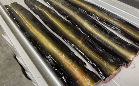 希少 四万十川産＜天然うなぎ＞蒲焼（カット)（計400g） 天然うなぎ 天然 四万十川 鰻 ウナギ うなぎ グルメ 高級 贅沢 ギフト 食べ物 食品 国産鰻 蒲焼 うなぎ蒲焼 ウナギ蒲焼 鰻蒲焼 冷凍