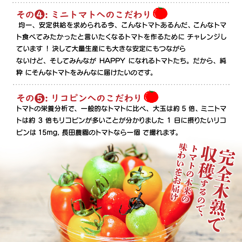 1月～6月毎月発送　幻のミニトマト　トマトベリーの定期便　6回コース 野菜ソムリエサミット 金賞 受賞 長田農園 産地直送 トマト とまと 野菜 やさい フルーツ サラダ 濃厚 甘い ご褒美 プレゼン