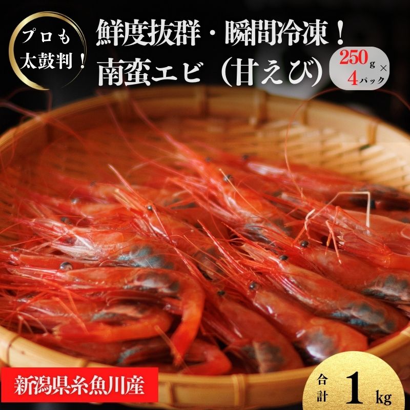 【ふるさと納税】甘エビ 250g×4パック 計1kg 日本海直送 瞬間冷凍 プロも太鼓判！ 際立つ甘さと鮮やかさ 新潟県 糸魚川市 伝兵水産 えび 海老 南蛮エビ【 海老 えび エビ アマエビ あまえび 殻付き 有頭 生食 刺身 魚介類 魚貝類 国産 人気】