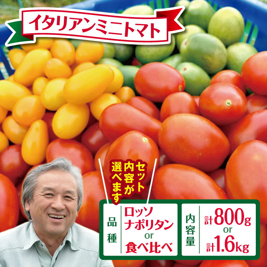 【ふるさと納税】【 選べる 種類・ 容量 】イタリアンミニトマト 800g or 1600g | 野菜 イタリアントマト プチトマト トマト カラフル高リコピン 小分け とまと ロッソナポリタン 鈴木アル・ファーム 千葉県 君津市 きみつ
