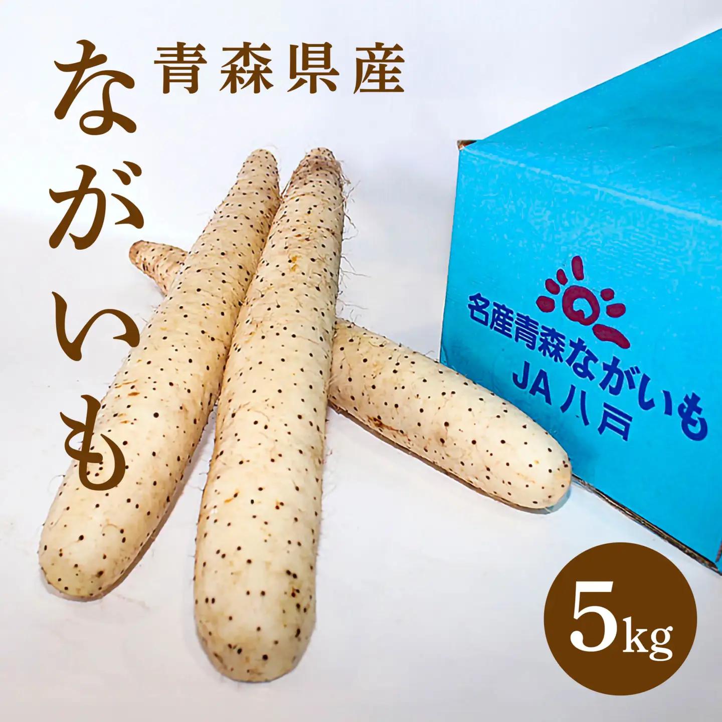 長芋 5kg ながいも 野菜　
