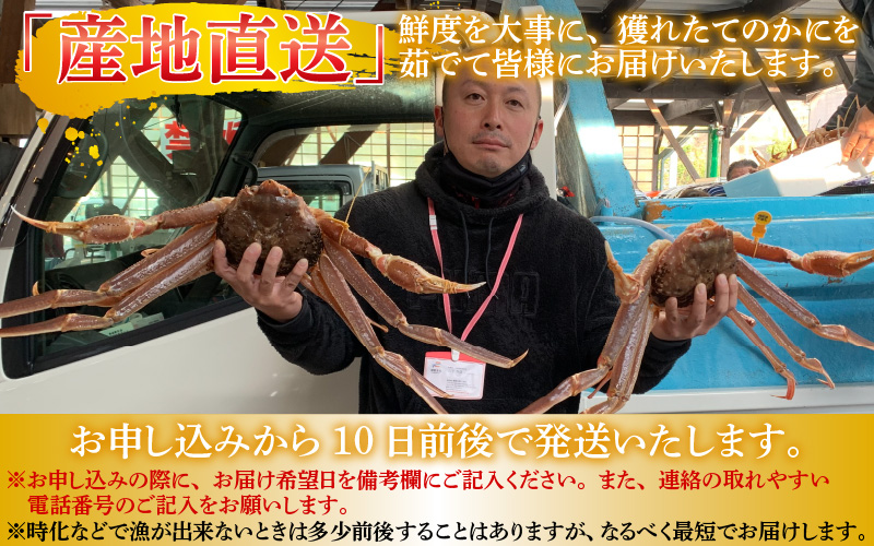 【産地直送】先行予約！ 福井の冬の王様！越前がに 1.4〜1.5kg　2024年11月15日以降発送