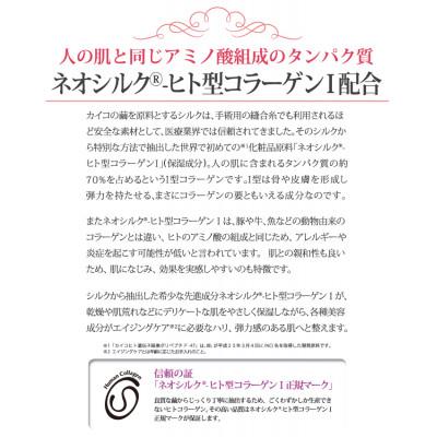 ふるさと納税 藤岡市 フレヴァン　ネオシルク　BBクリーム(クリアベージュ) |  | 01