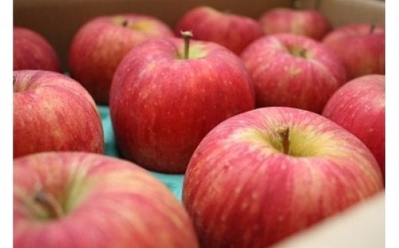  季節の品種 北上 りんご 約2kg 訳あり 順次発送！！ 岩手県産 C0565 P＆Cリンク 詰め合わせ 季節限定（黄王 つがる ジョナゴールド 星の金貨 スリムレッド ふじ フジ シナノゴールド 