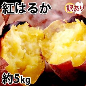 訳あり紅はるか 約5kg(益城町)【1586575】