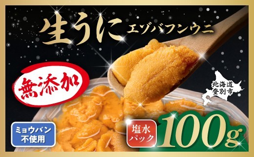 
                  うに 無添加 極上 エゾバフンウニ 生うに 塩水パック 100g 塩水 ミョウバン不使用 | 雲丹 ウニ 雲丹 高級 生ウニ 海産物 海鮮 米 と ウニ丼 うに丼 人気 ふるさと納税 北海道 登別市
                