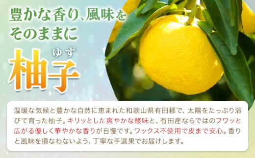 ゆず 国産 ご家庭用 訳あり 紀州 和歌山県産 有田 柚子 約3kg 有田マルシェ《2026年10月末頃-2027年1月下旬頃発送予定》 和歌山県 日高町 ユズ 柑橘 フルーツ ギフト 送料無料