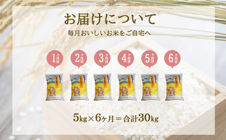 【令和7年産】【半年定期便】令和7年産 えびの産 ひのひかり 5kg×6ヶ月 合計30kg 米 お米 精米 白米 ご飯 国産 宮崎県産 九州産  送料無料 こめ おにぎり お弁当