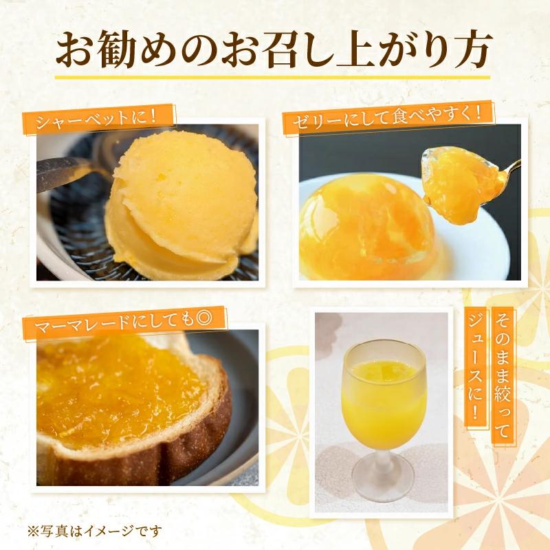 訳あり 河内晩柑 2L サイズ 以上 6玉  (約 3.5kg) サイズミックス 5000円 みかん かわちばんかん ミカン mikan わけあり 愛南ゴールド 家庭用 あいなん ゴールド 美生柑 文