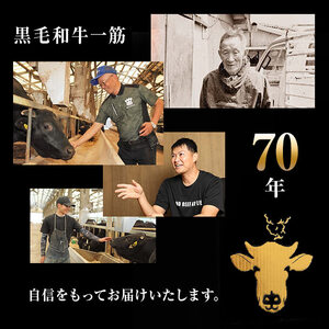 【数量限定】A4・5等級 鹿児島県産黒毛和牛うしの中山サーロインステーキ(計400g/200g×2枚)  黒毛和牛 和牛 ステーキ サーロイン 肉 牛肉 国産 九州産 鹿児島県産 赤身 焼肉 日本一 