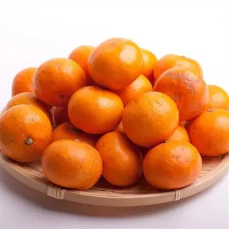 家庭用 小さな有田みかん5kg+250g(傷み補償分)【光センサー選果】【訳あり】【配送不可地域：離島・北海道・沖縄県】【1318100】