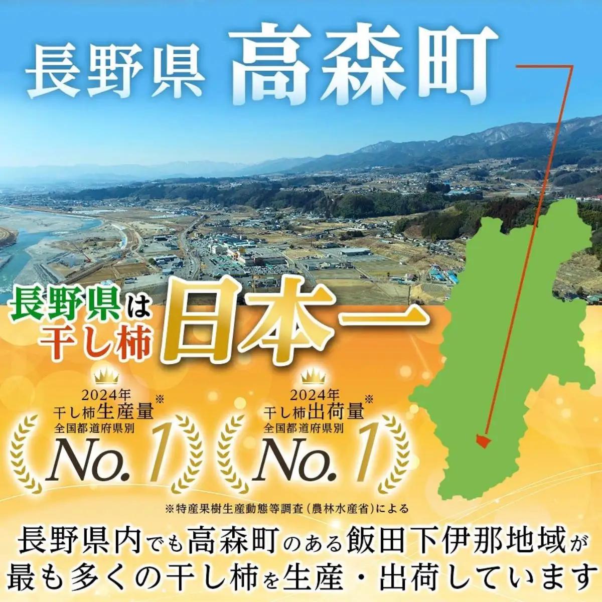 【長野県産】南信州に伝わる伝統の味「市田柿」170g×3袋 ＜2027年1月中旬から発送＞