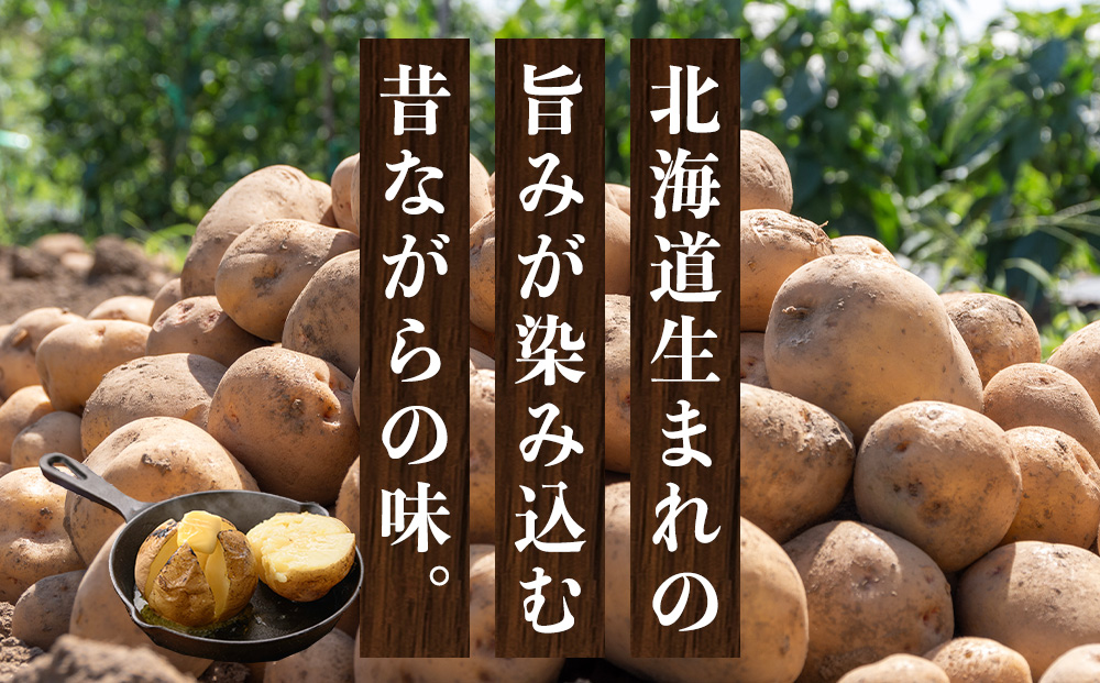 【2026年秋発送 先行予約】じゃがいも 馬鈴薯（男爵）Ｌサイズ 10kｇ＜JAようてい＞
