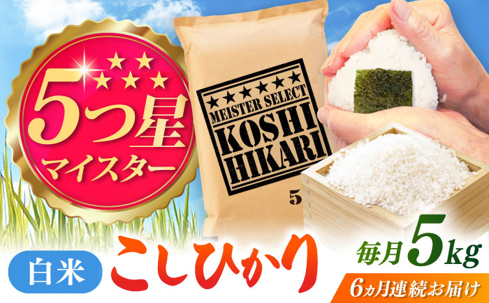 【全6回定期便】令和7年産 こしひかり 白米 5kg / 精米 / 佐賀県 / 大塚米穀店 [41ANAD037]