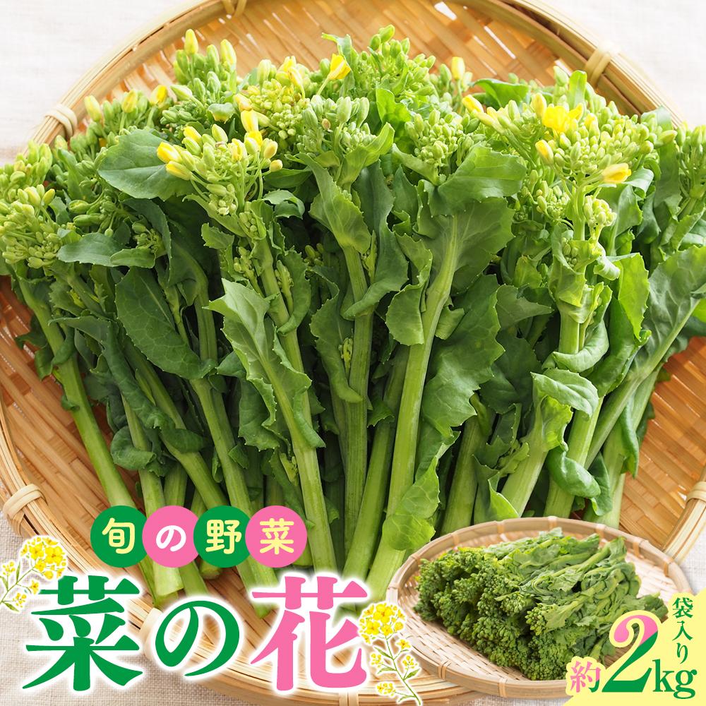 【ふるさと納税】旬の野菜 菜の花 (袋入り) 約2kg【2025-12月上旬～2026-3月下旬配送】 | 国産 高松市産 旬の野菜 春野菜 花菜 食用 ほろ苦い 和え物 炒め物 揚げ物 味噌汁 自宅用 家庭用 おすそ分け 和食 お取り寄せ 香川県 高松市