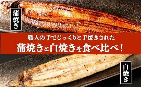 鹿児島県大隅産  千歳鰻の白焼1尾・蒲焼き1尾　合計2尾セット