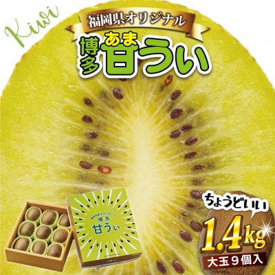 【2025年11月より順次発送】福岡県キウイフルーツ「博多甘うぃ」化粧箱 大玉9玉約1.4kg【配送不可地域：離島・北海道・沖縄県】
