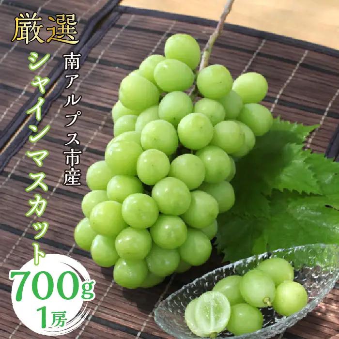 ＜2026年発送＞ 厳選!  シャインマスカット 700ｇ 1房 南アルプス市産 | シャインマスカット