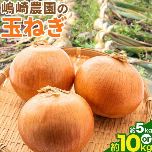 【ふるさと納税】 玉ねぎ たまねぎ 玉葱 選べる 約5kg 約10kg サイズ混合《10月上旬‐2月末から順次出荷》嶋崎農園 送料無料 北海道 本別町 北海道 十勝 本別町産 オニオン カレー サラダ スープ 野菜