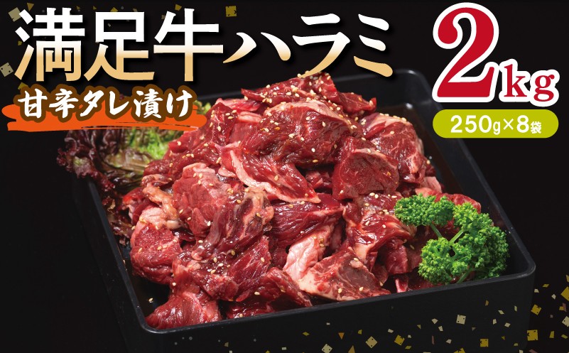 
            【満足牛ハラミ】甘辛タレ漬け 合計2kg 【味付け ハラミ 小分け 焼くだけ 簡単調理 BBQ 牛肉 250g×8P】
          
