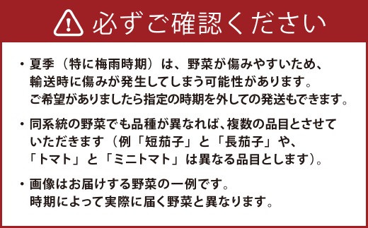 【定期便 偶数月コース】野菜のプロ40年が届ける 厳選野菜セット！ 野菜・フルーツ 15～16品目 詰め合わせ