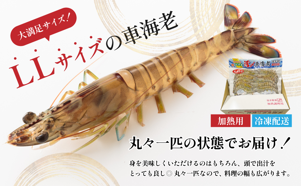 【鹿児島県産】冷凍 車海老 LLサイズ 300g （加熱用） 車エビ 車えび くるまえび 海老 エビ えび 海の幸 海鮮 九州 国産 魚介 魚介類 真空パック 天ぷら エビフライ エビチリ 冷凍 南さつま市