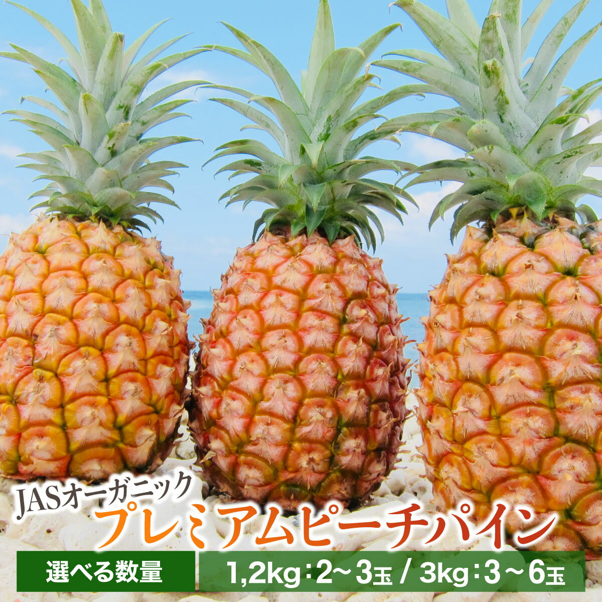 【ふるさと納税】＜選べる容量＞【JASオーガニック】プレミアムピーチパイン 約1.2kg〜3kg　2～6玉【2027年 先行予約 南国 パイナップル 果物 フルーツ パイン 竹富町】　お届け：2027年4月中旬～6月上旬