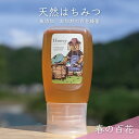 【ふるさと納税】合計300g 天然蜂蜜 国産蜂蜜 非加熱 生はちみつ 岐阜県 美濃市産 春 (蜂蜜300g入りピタッとボトル1本)A9　【 ハニー 調理 料理 味付け 甘味 百花蜜 深い味わい 自然の味 無添加 】